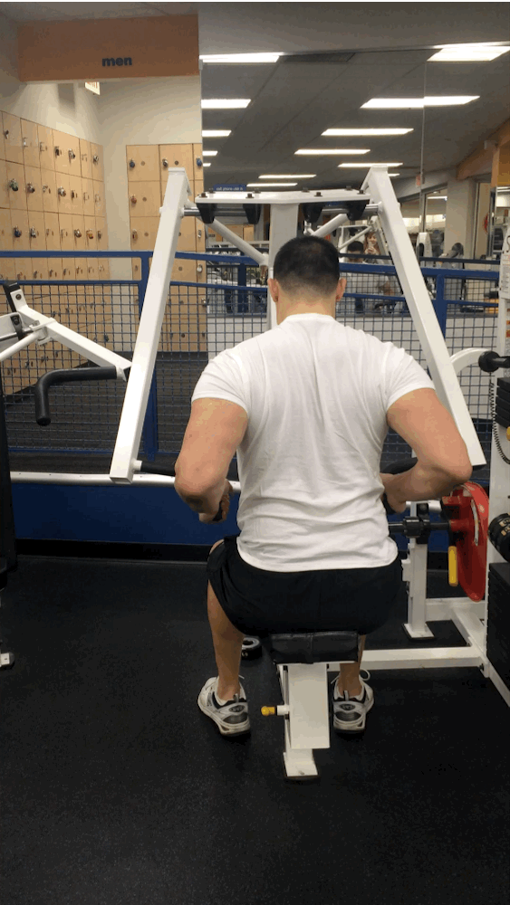 The Ultimate Guide to Arm Machines in the Gym
