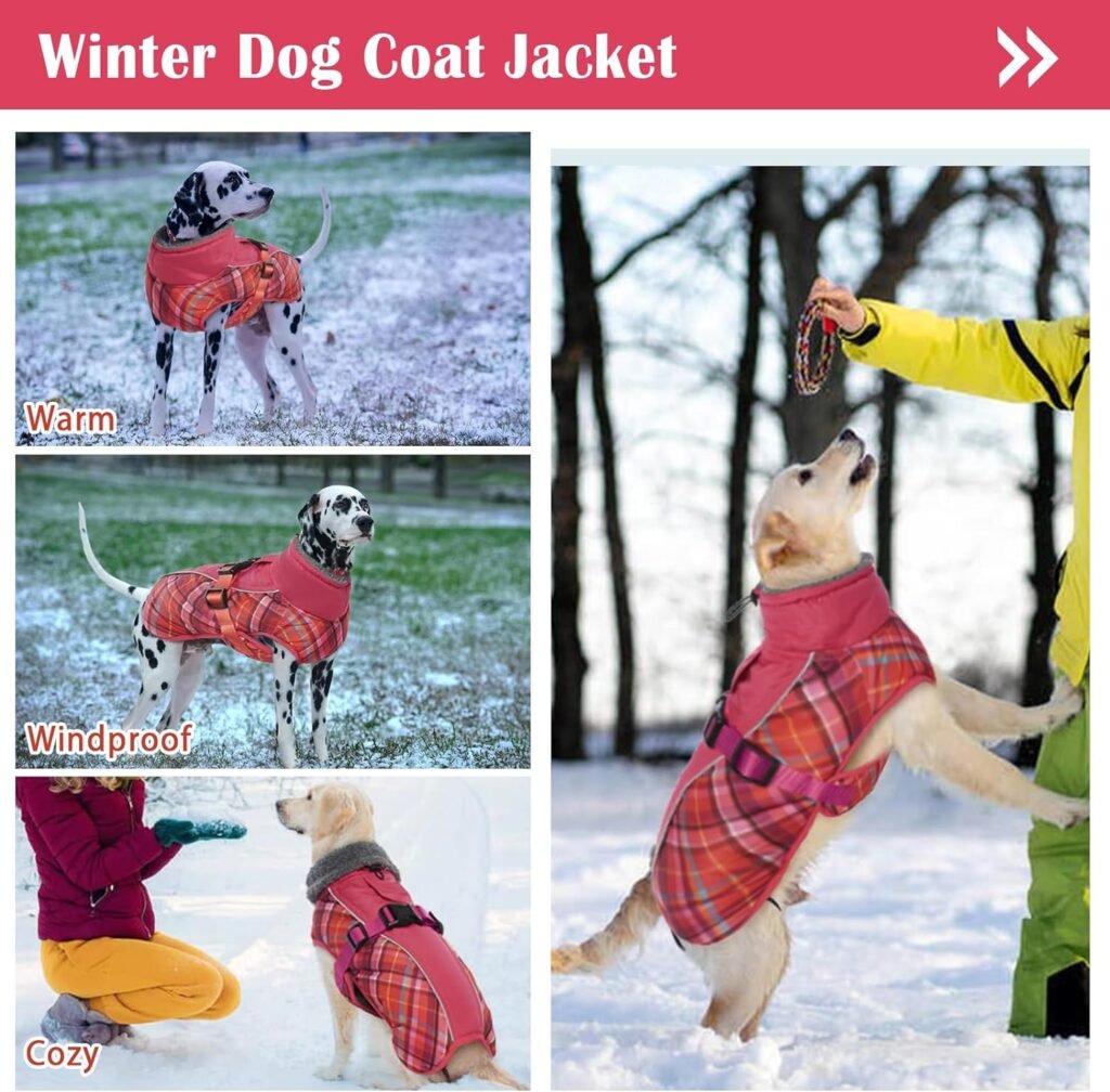 DENTRUN Warm Dog Winter Coat Dog Cold Weather Jacket Windproof Dog Fleece Vest Reflective Dog Outwear Waterproof Dog Snowsuit Cozy Doggie Turtleneck Apparel Winter Clothes for Large Dog Coat, XL